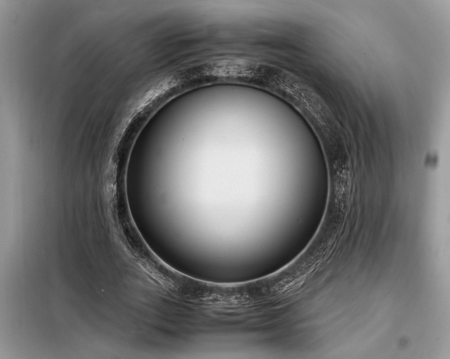 X0000098190727200804241244