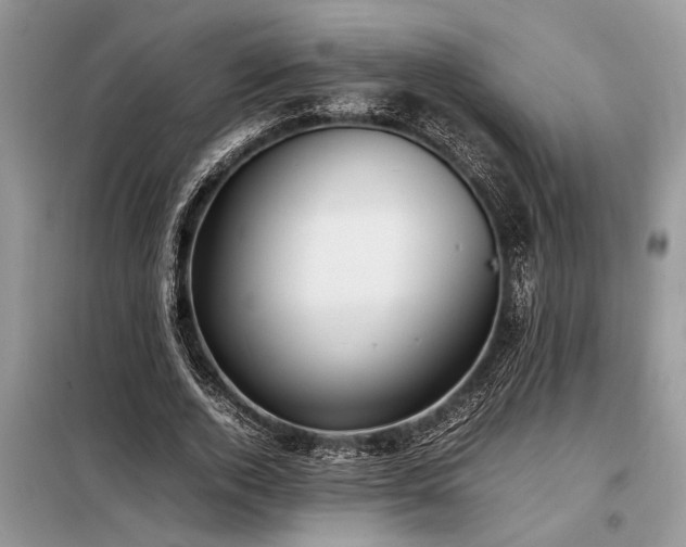 X0000098190728200804241244