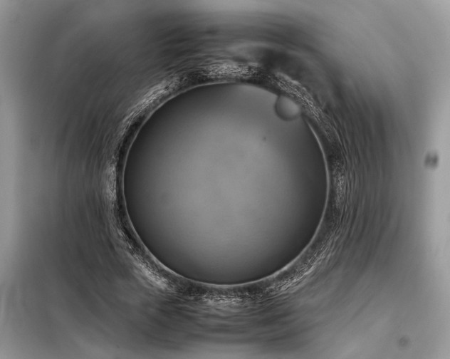 X0000098190729200804241244