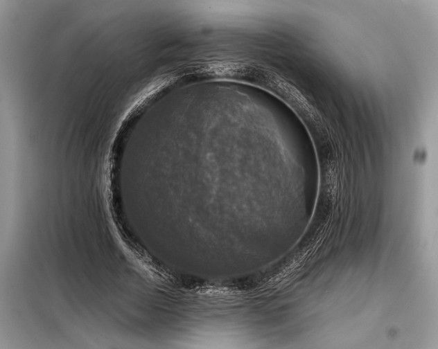 X0000098190730200804241244