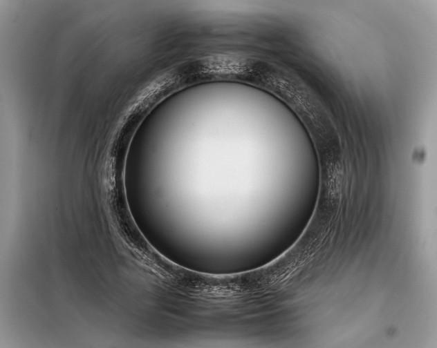 X0000098190731200804241244
