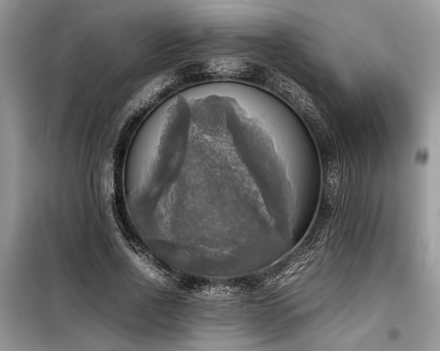 X0000098190734200804241244