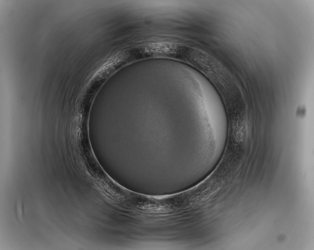X0000098190735200804241244
