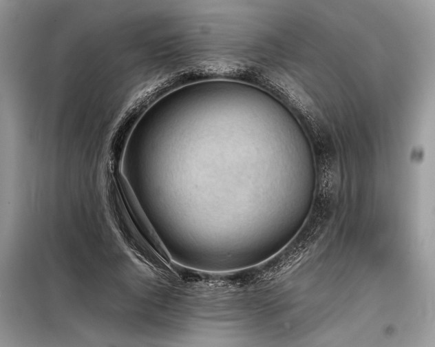 X0000098190736200804241244