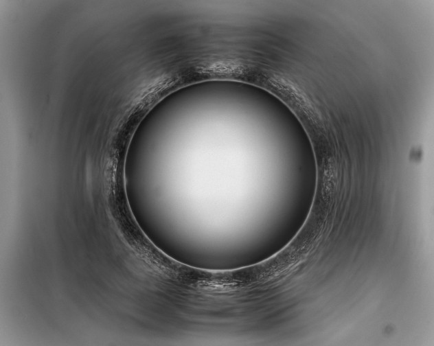 X0000098190739200804241244