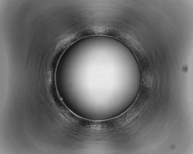 X0000098190740200804241244