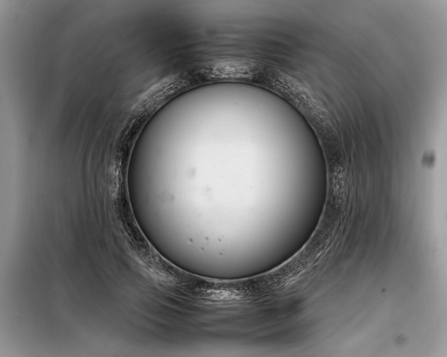 X0000098190741200804241244