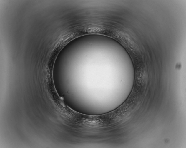 X0000098190743200804241244