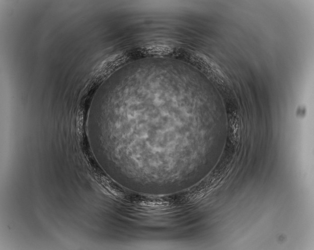 X0000098190745200804241244