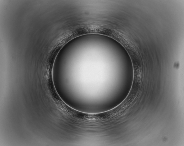 X0000098190746200804241244