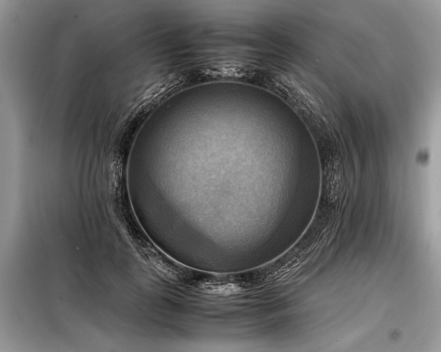 X0000098190747200804241244