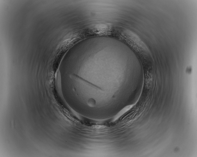 X0000098190748200804241244