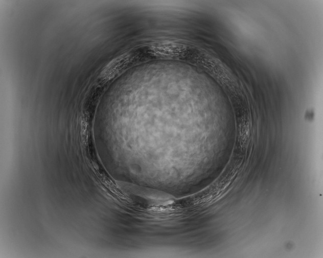 X0000098190749200804241244
