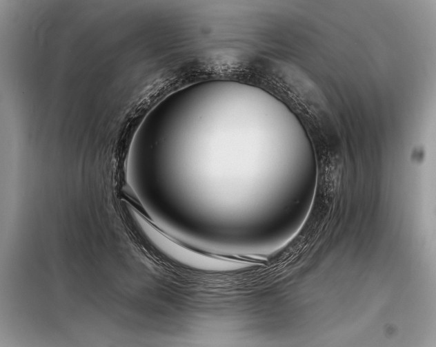 X0000098190750200804241244