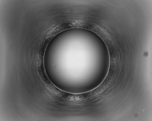 X0000098190751200804241244