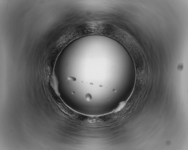 X0000098190752200804241244
