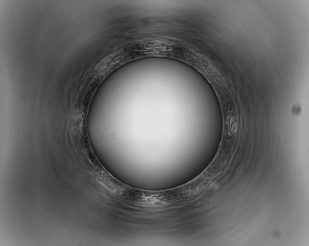 X0000098190753200804241244