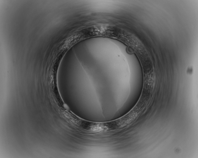 X0000098190754200804241244