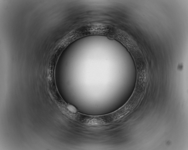 X0000098190755200804241244