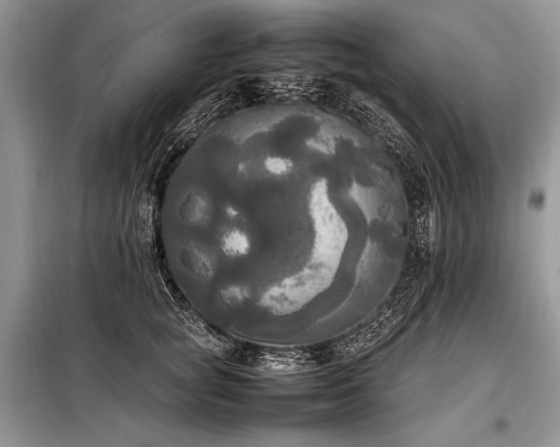 X0000098190757200804241244