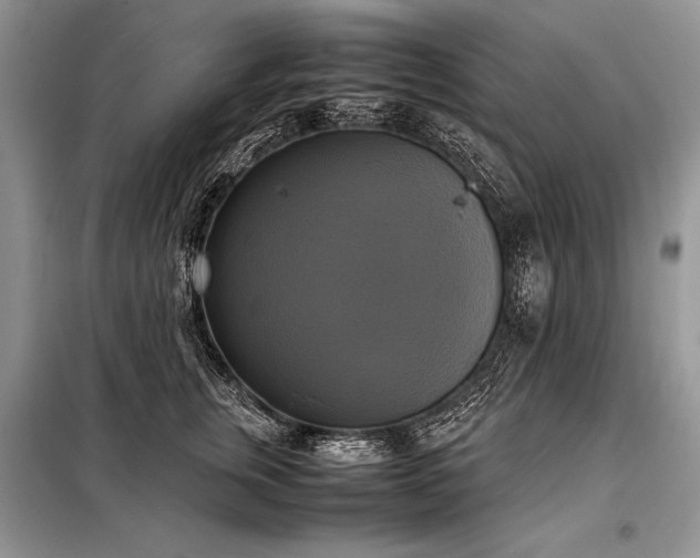 X0000098190759200804241245