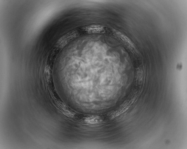X0000098190761200804241245