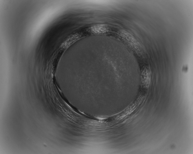 X0000098190762200804241245