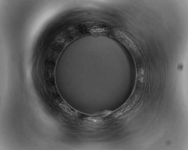 X0000098190763200804241245