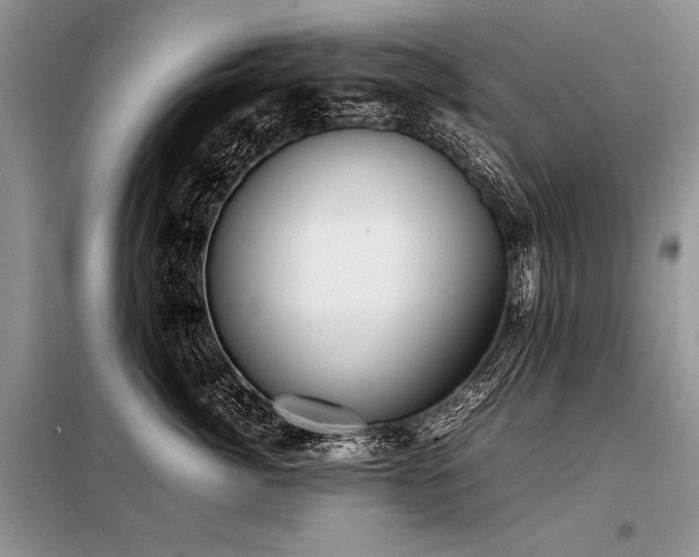 X0000098190764200804241245