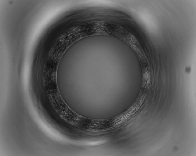 X0000098190765200804241245