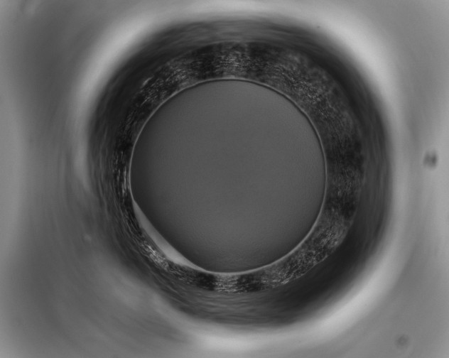 X0000098190766200804241245