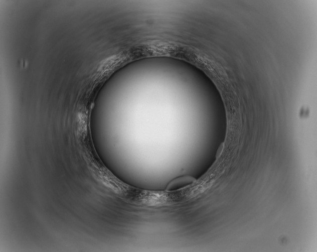 X0000098190768200804241245
