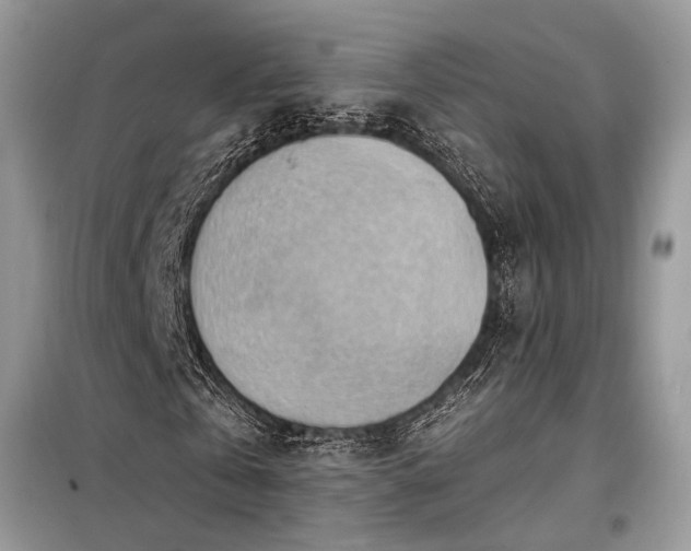 X0000098190769200804241244
