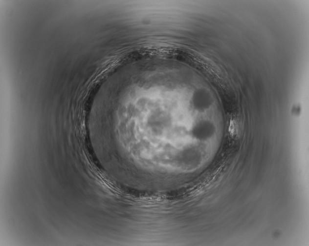 X0000098190771200804241244