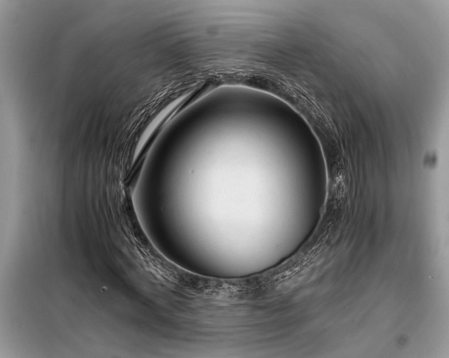 X0000098190772200804241244