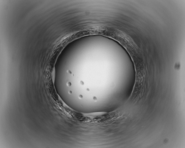 X0000098190773200804241244