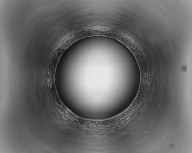 X0000098190774200804241244