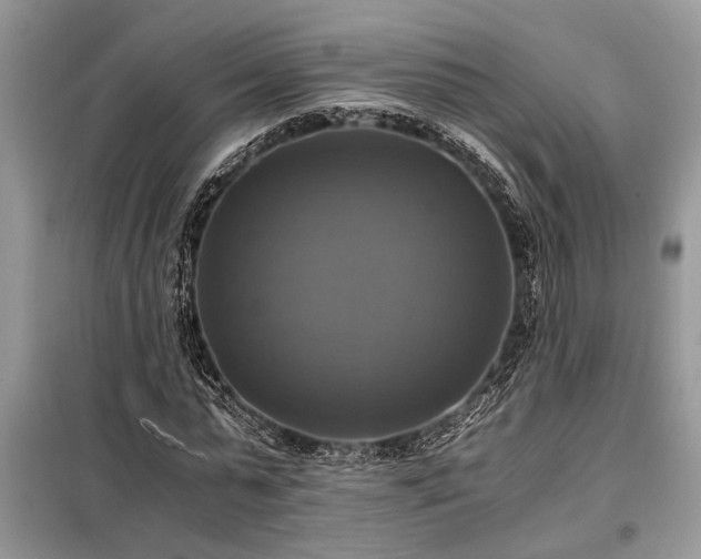 X0000098190775200804241244