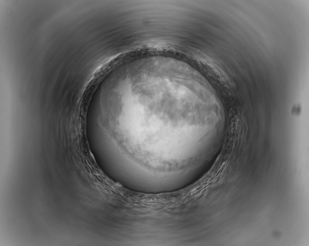 X0000098190776200804241244