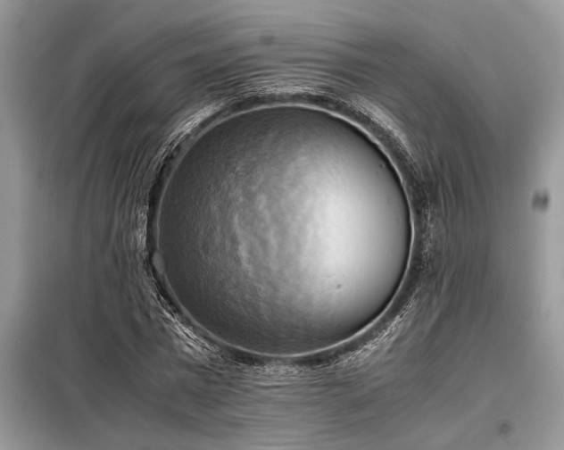 X0000098190777200804241244