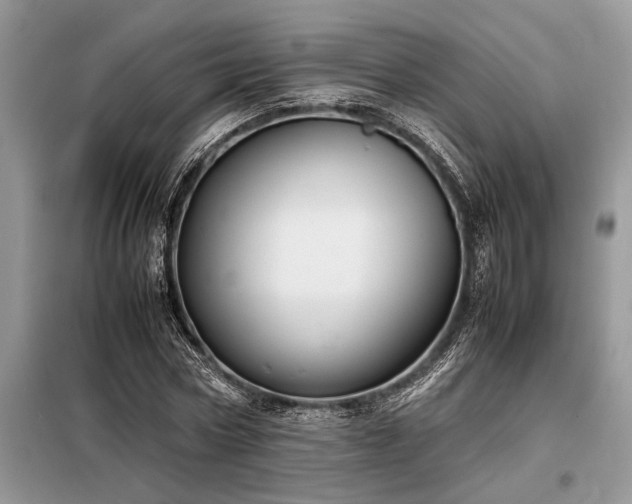 X0000098190778200804241244