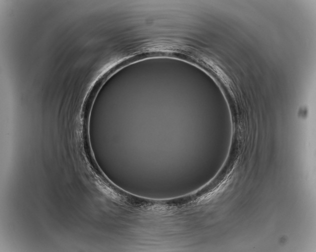 X0000098190779200804241244