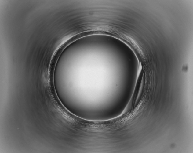 X0000098190780200804241244