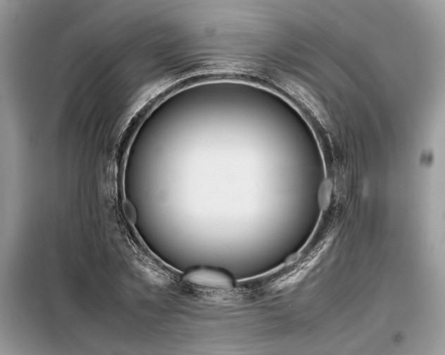 X0000098190781200804241244