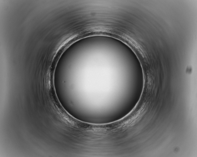 X0000098190782200804241244