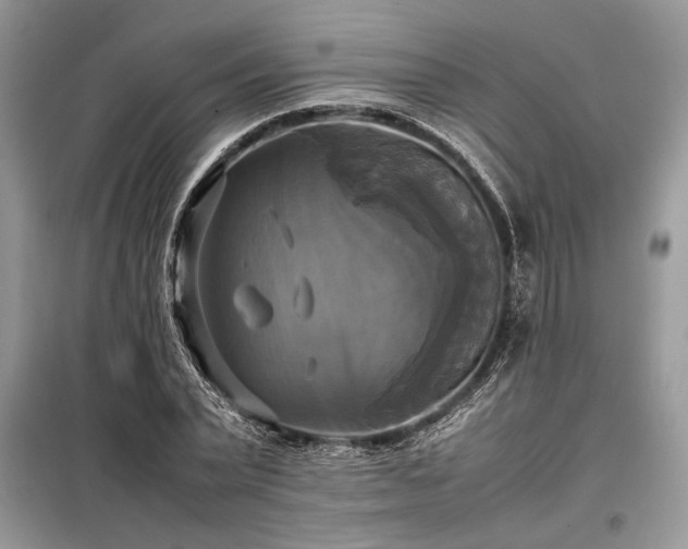X0000098190783200804241244