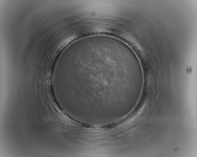 X0000098190785200804241244