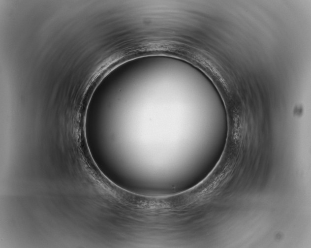 X0000098190786200804241244