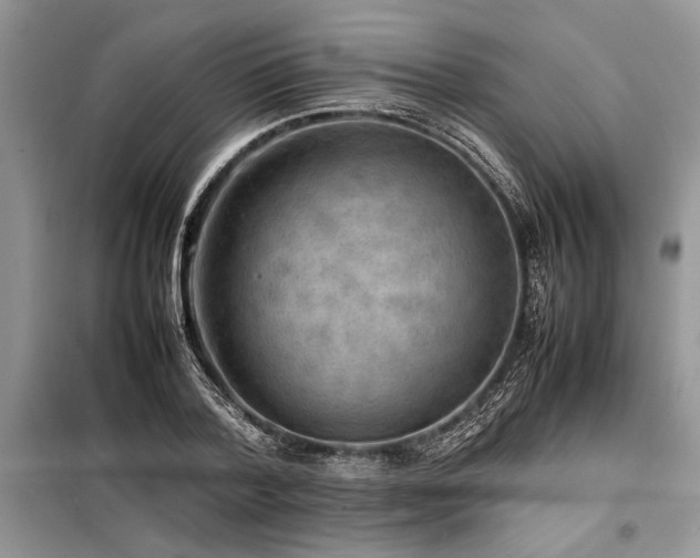 X0000098190788200804241244