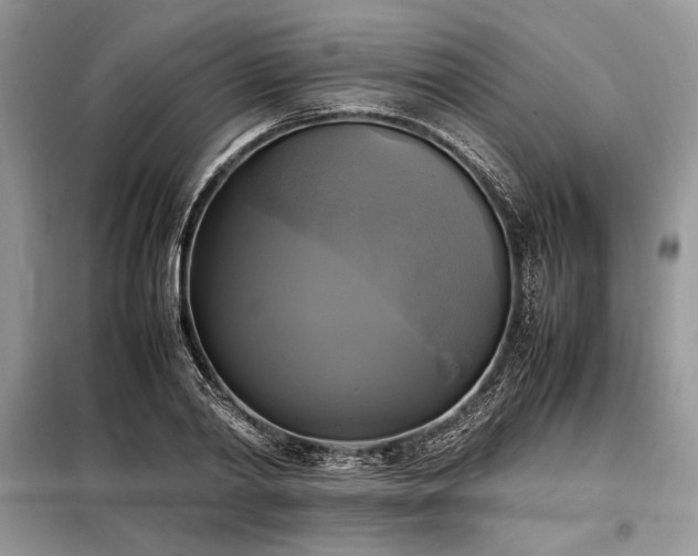 X0000098190790200804241244
